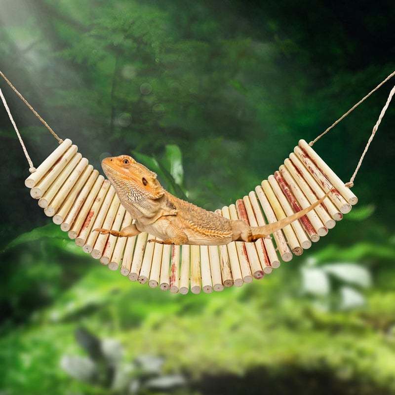 Neeenn Lizard Climbing Toys, Natural Material Reptile Ladder Bridge Toys, Reptile Tank Accessories, Suitable for Lizard Bearded Dragon Hermit Crab Bird Parrot Snake 16.1 x 6.7 Inches - Image 2